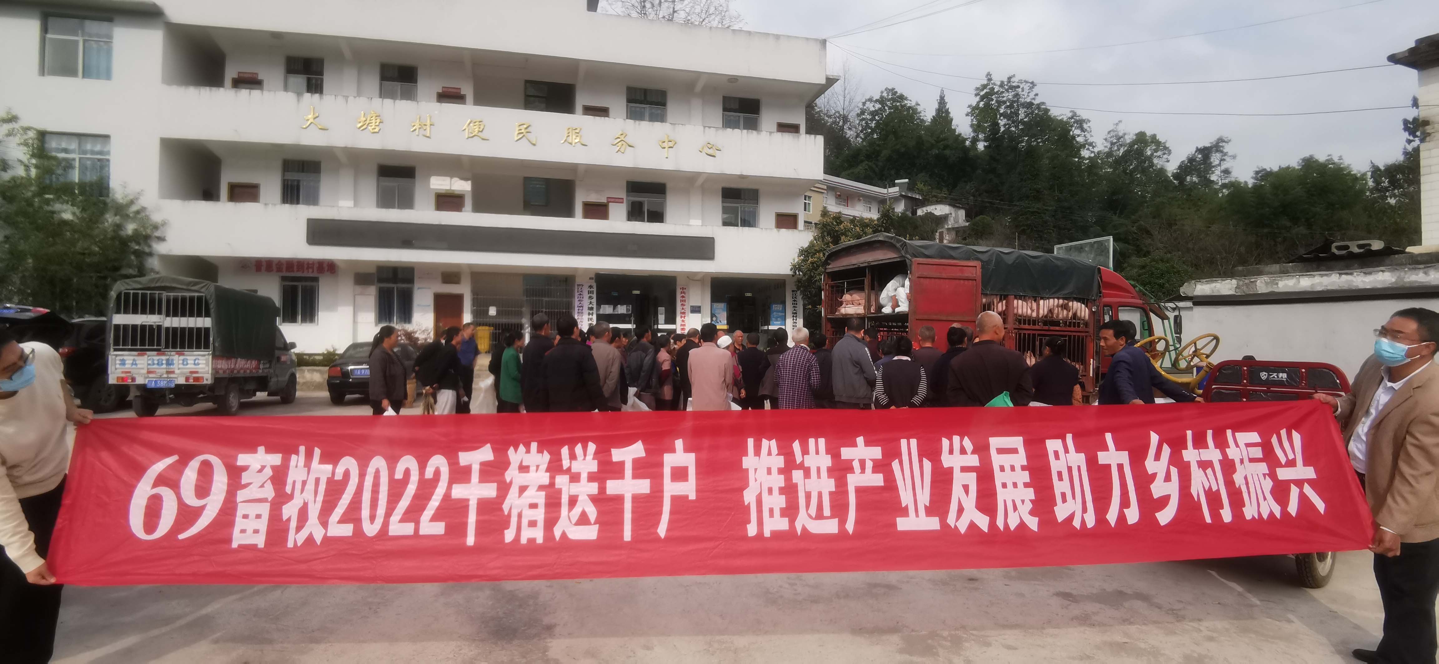 重慶69持續開展“千豬送千戶”活動