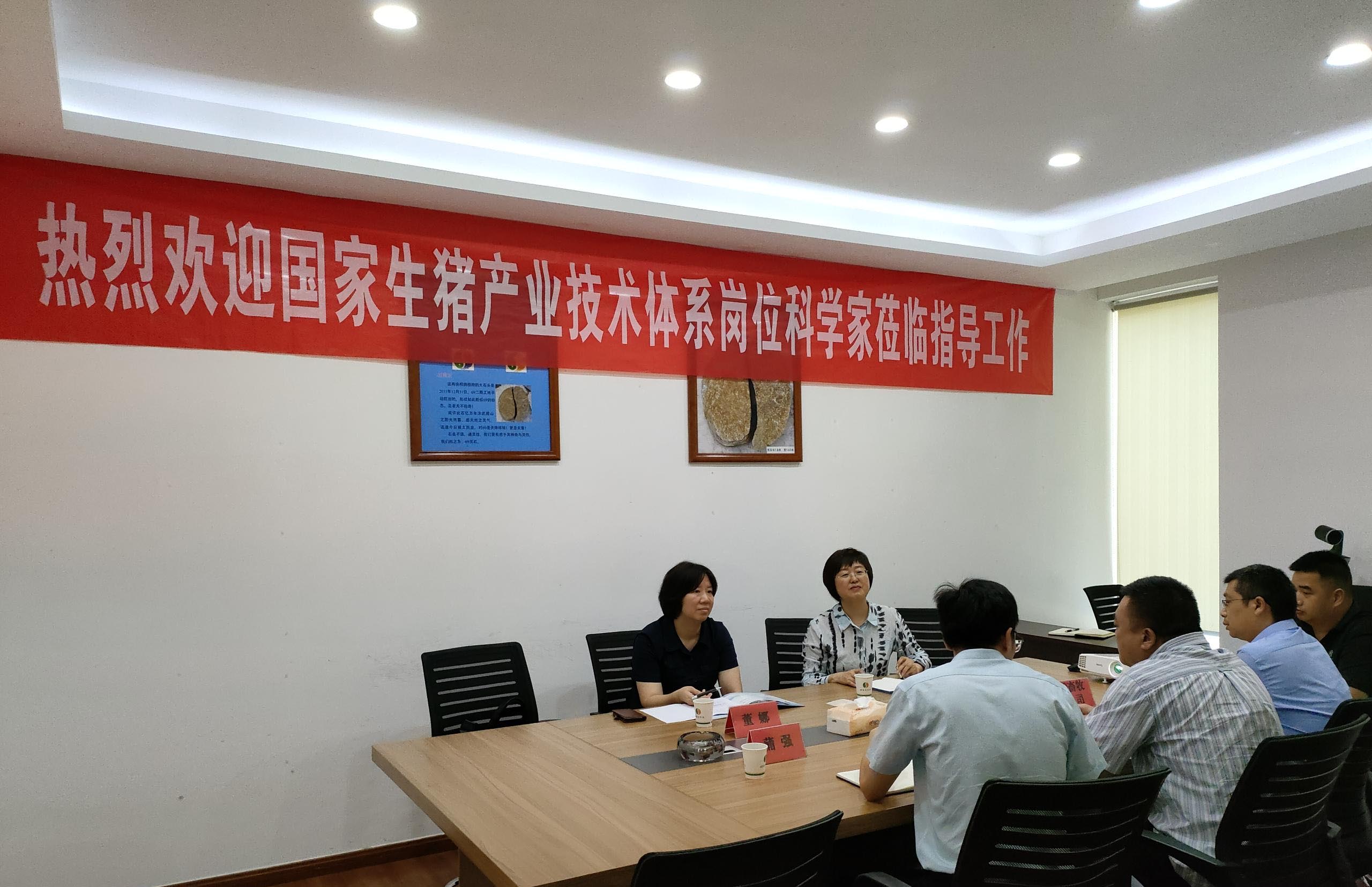 專家指導促發展  砥礪前行正當時<br/>---國家生豬產業技術體系崗位科學家來我司指導交流