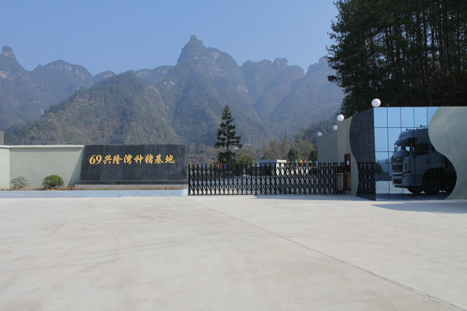 69興隆灣種豬基地順利投產