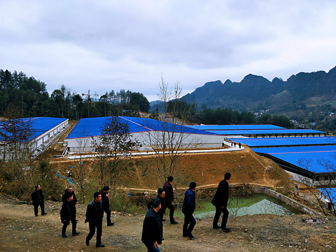 黔江區畜牧中心領導班子調研69畜牧項目