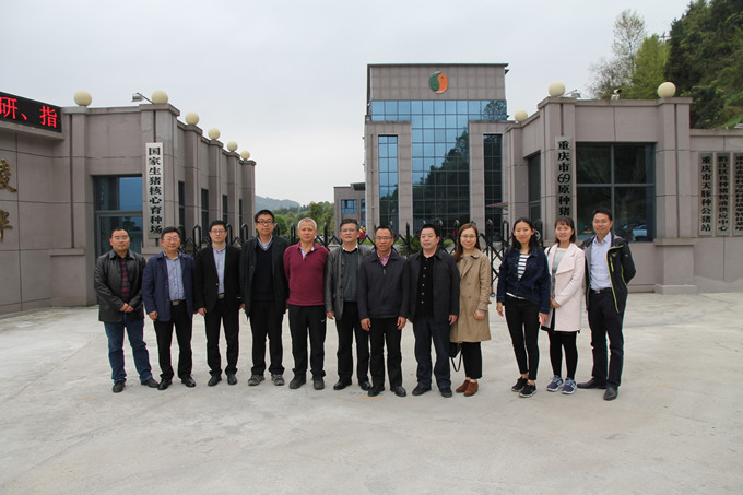 農業部王俊勛副司長到69調研