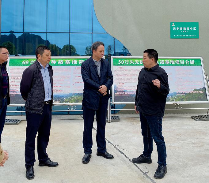 黔江區(qū)委書記徐江到重慶69興隆灣種豬基地調(diào)研