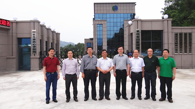 全國畜牧總站王宗禮站長、農業農村部畜牧獸醫局孔亮副局長、王健處長等領導調研重慶69