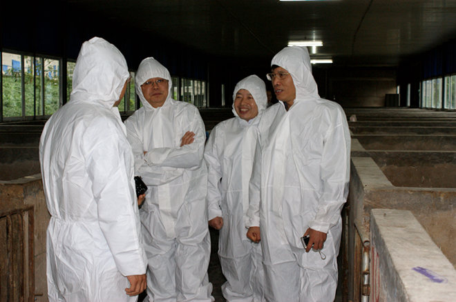 國家生豬遺傳改良計劃專家組《李加棋、王金勇》到重慶69指導工作