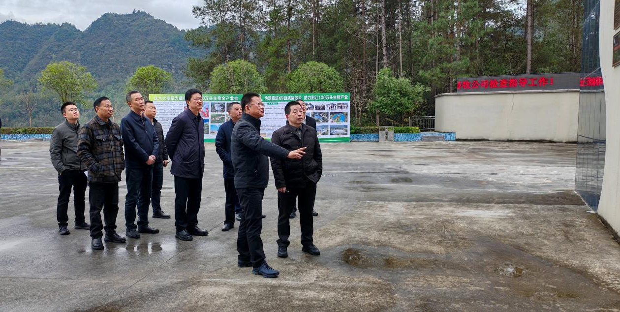 黔江區委書記羅成到69公司調研